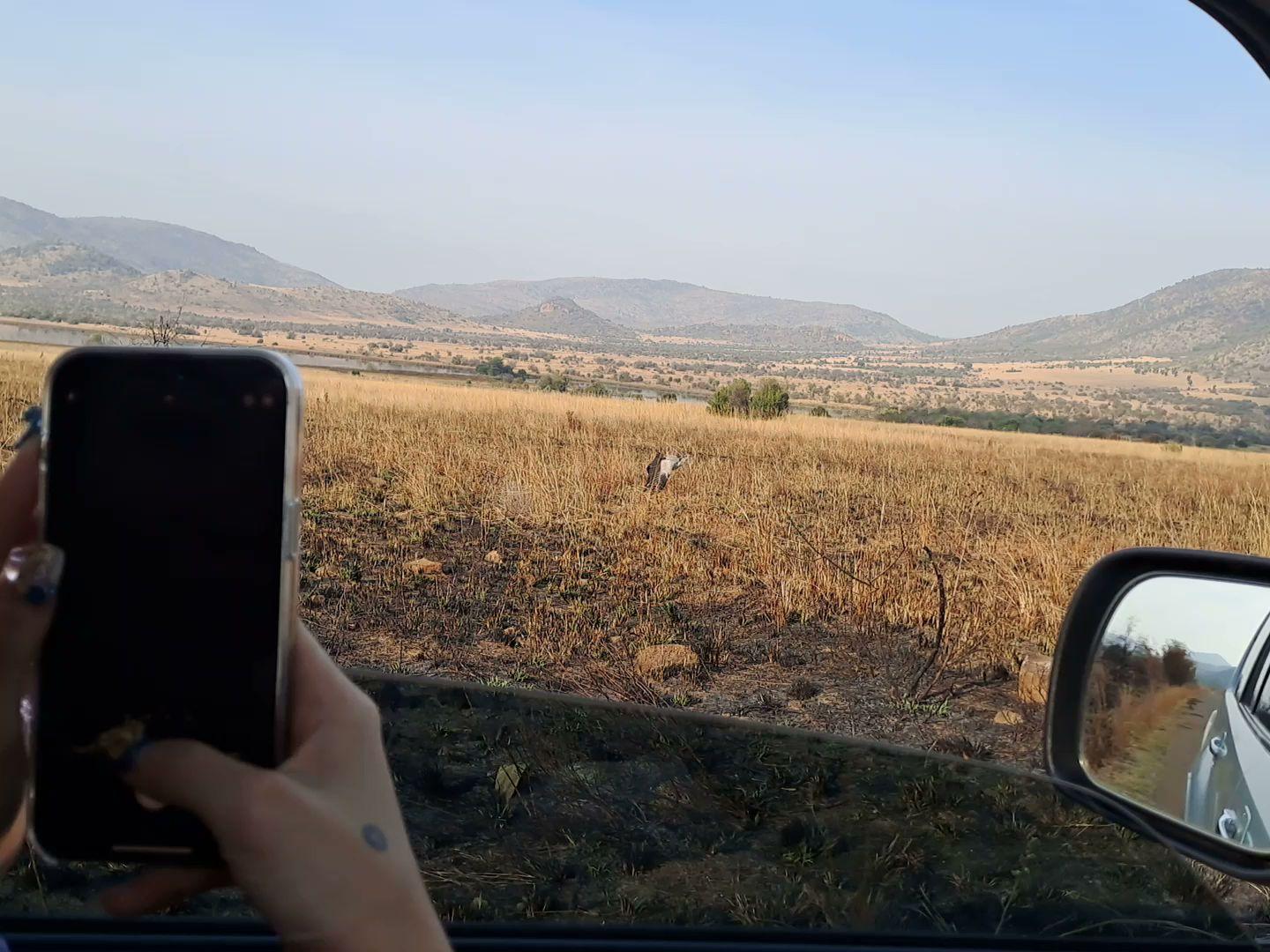 Dlamini 4 Africa Tours