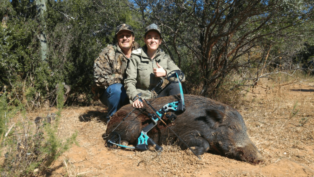 Shingelani Safaris