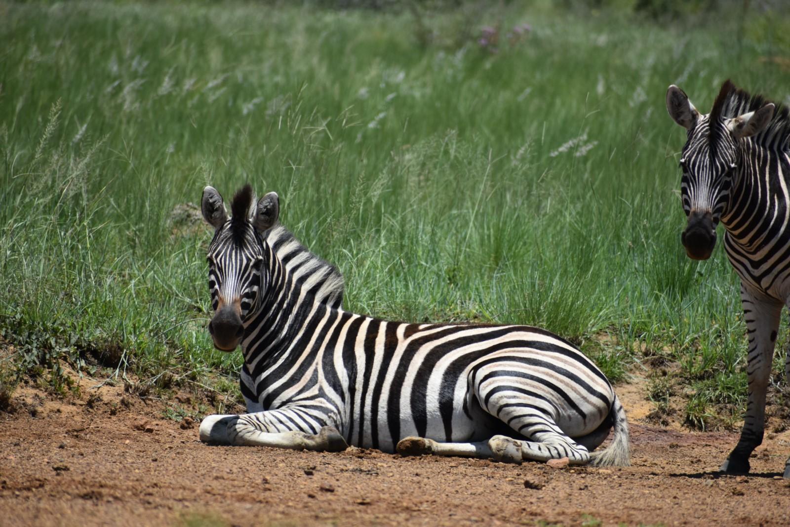 Xtreme Safari Africa PTY Ltd