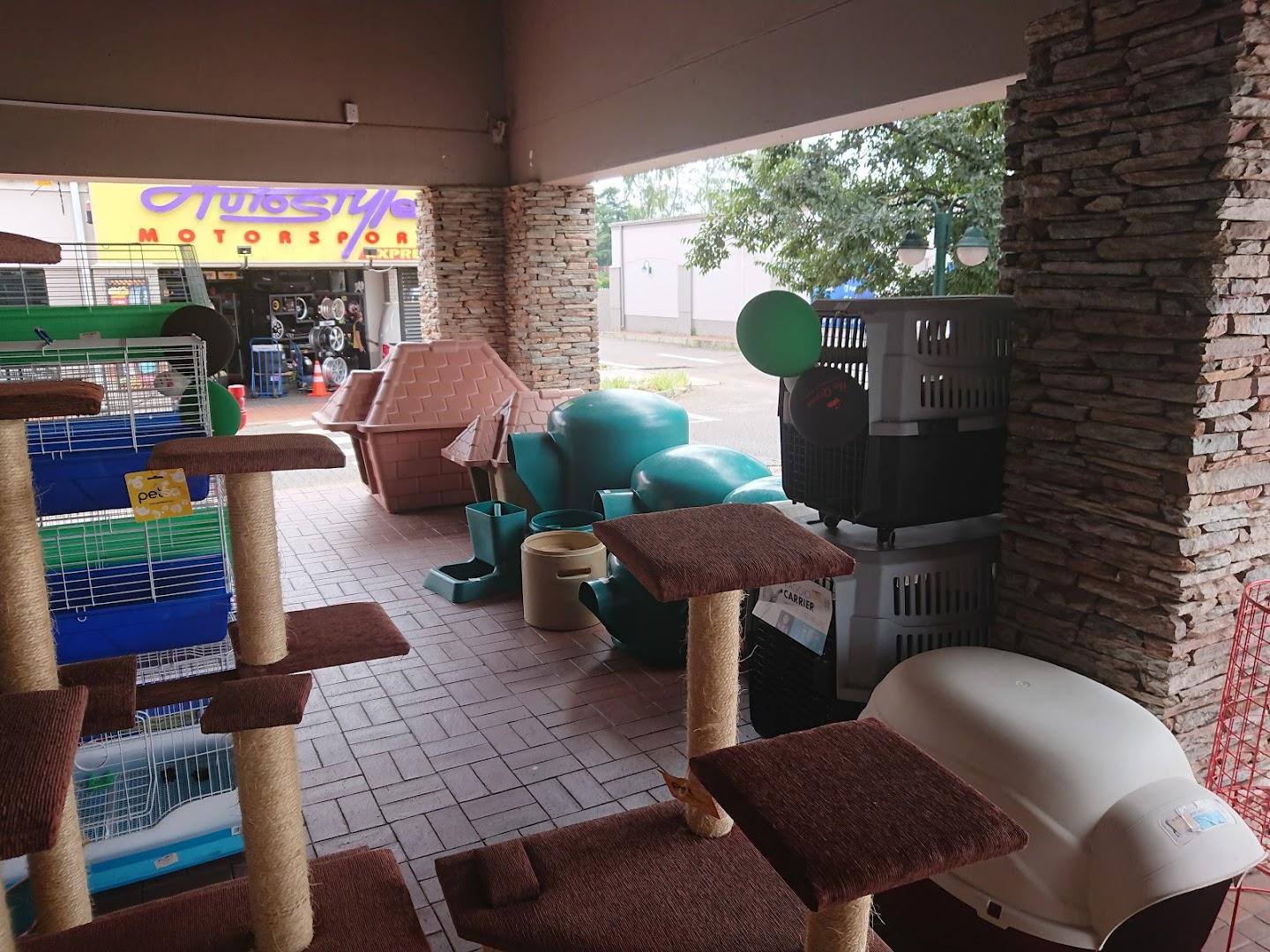 The Queen Pet Shop - Clubview