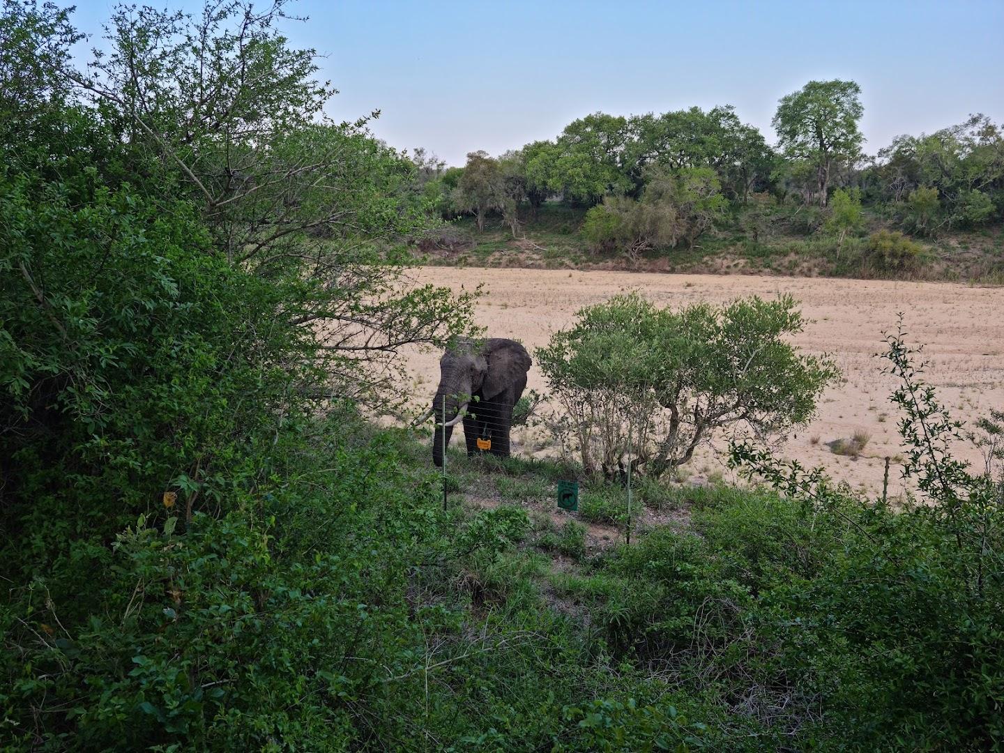 Ibubesi Tours