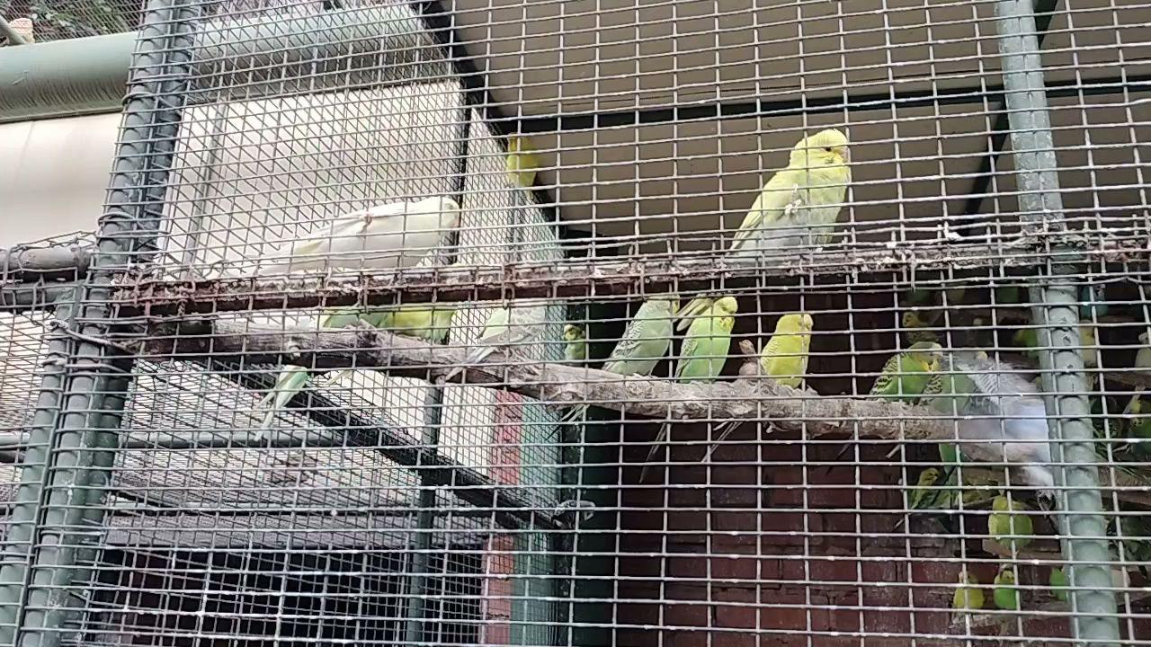 Wonderboom Bird Park &amp; Aquarium
