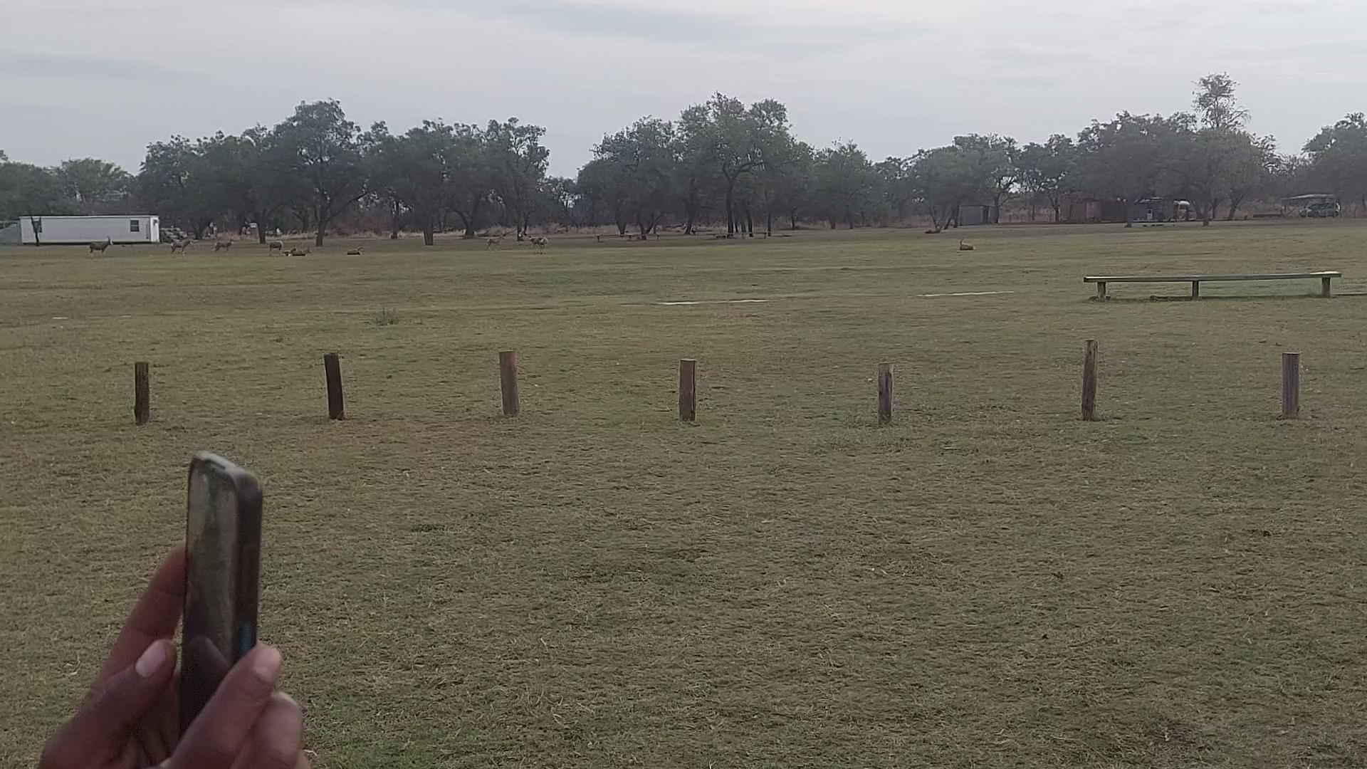 SAPS Academy Moloto