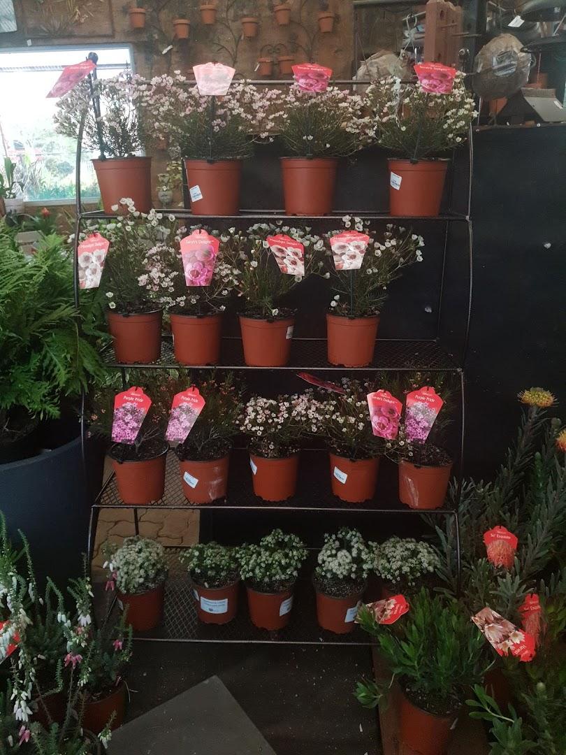 Eden Gardens Retail Nursery