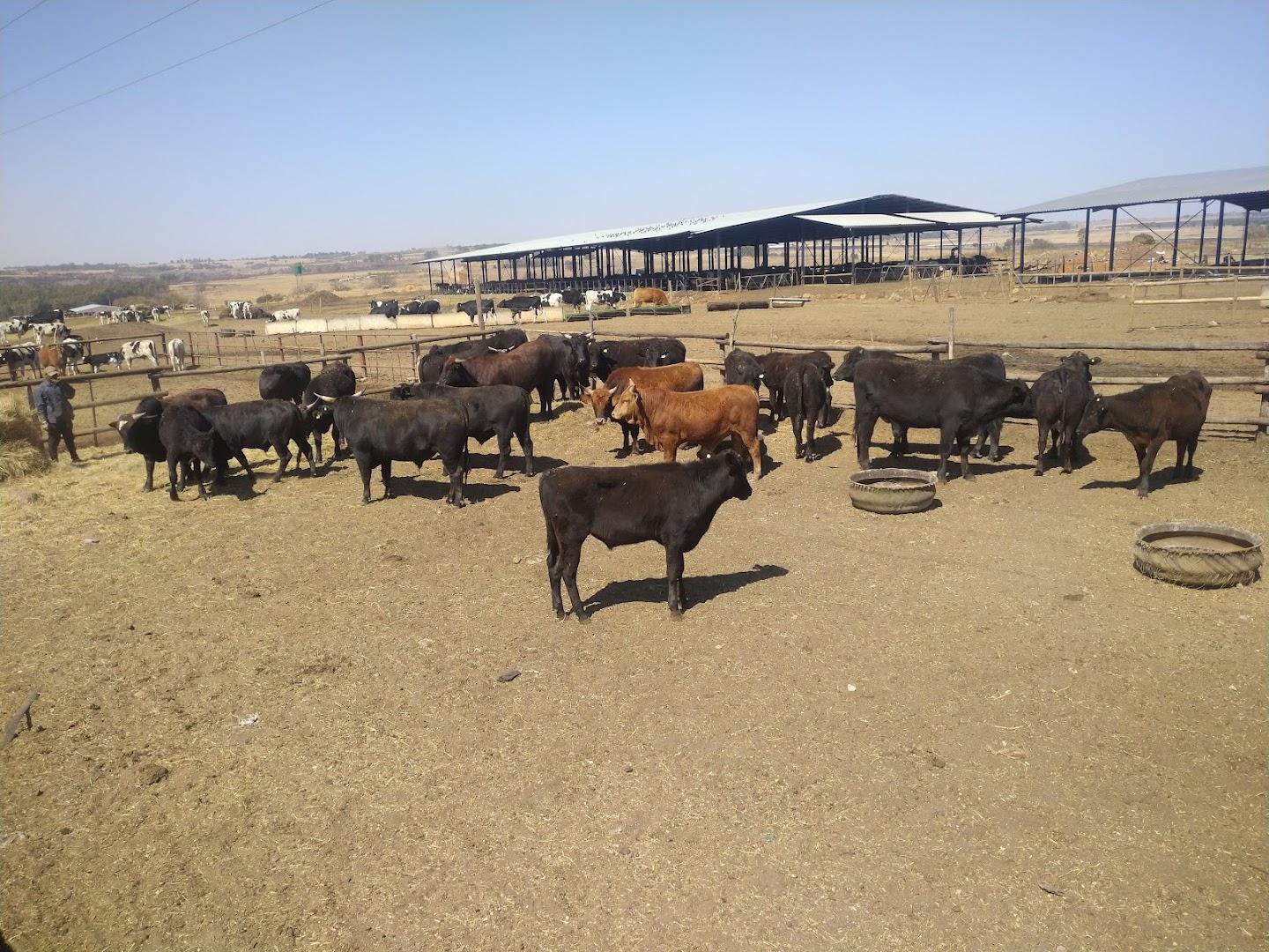 Rooikoppies Boerdery