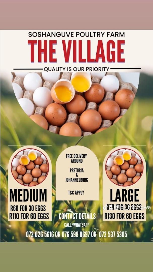 Soshanguve Chicken Farm - THE VILLAGE