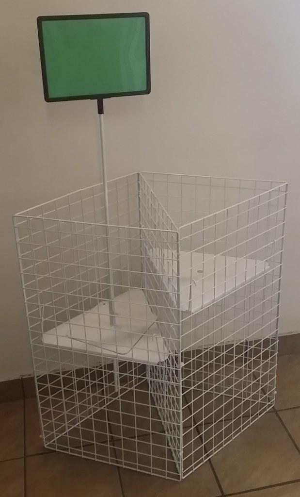 Media