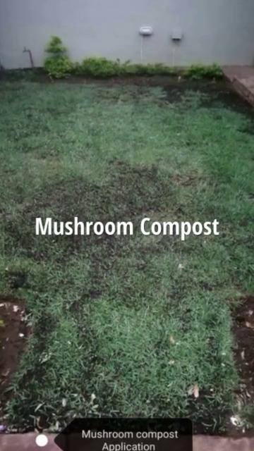 Mushroom Compost SA