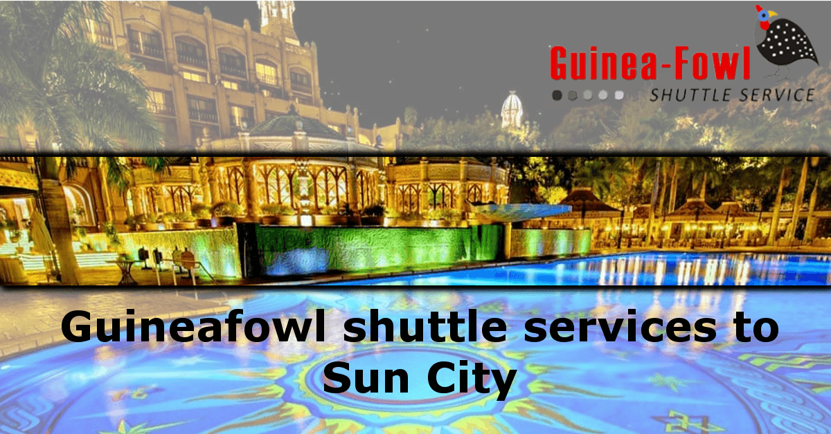 Guinea-Fowl Shuttle Service