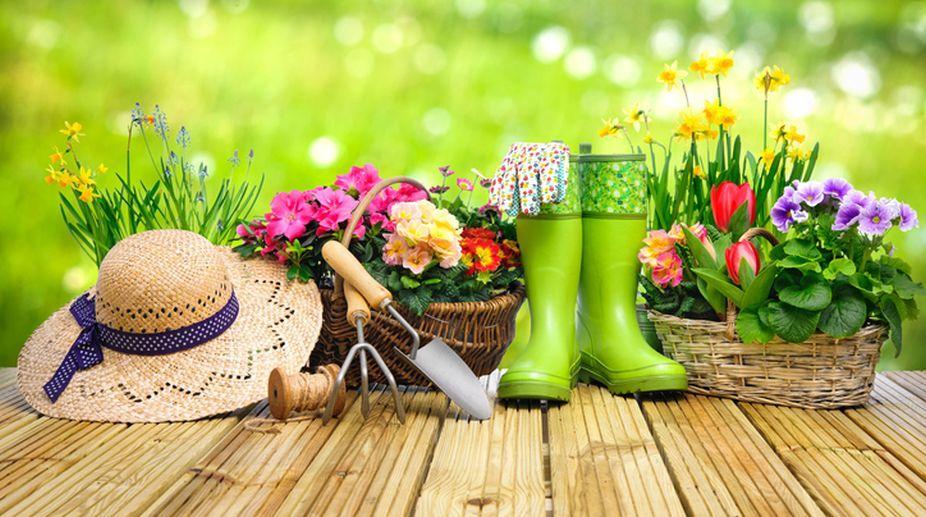 Plantland Menlyn Garden Centre