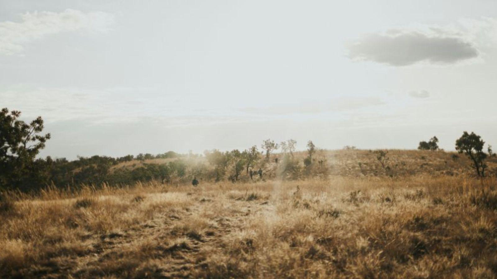 Why Your Best Valentine’s Day Won’t Be at a Restaurant