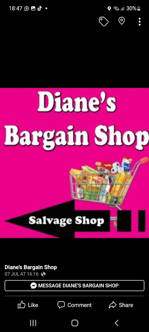 Diane’s Bargain Shop