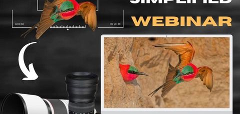 Nature Photography Simplified – Webinar