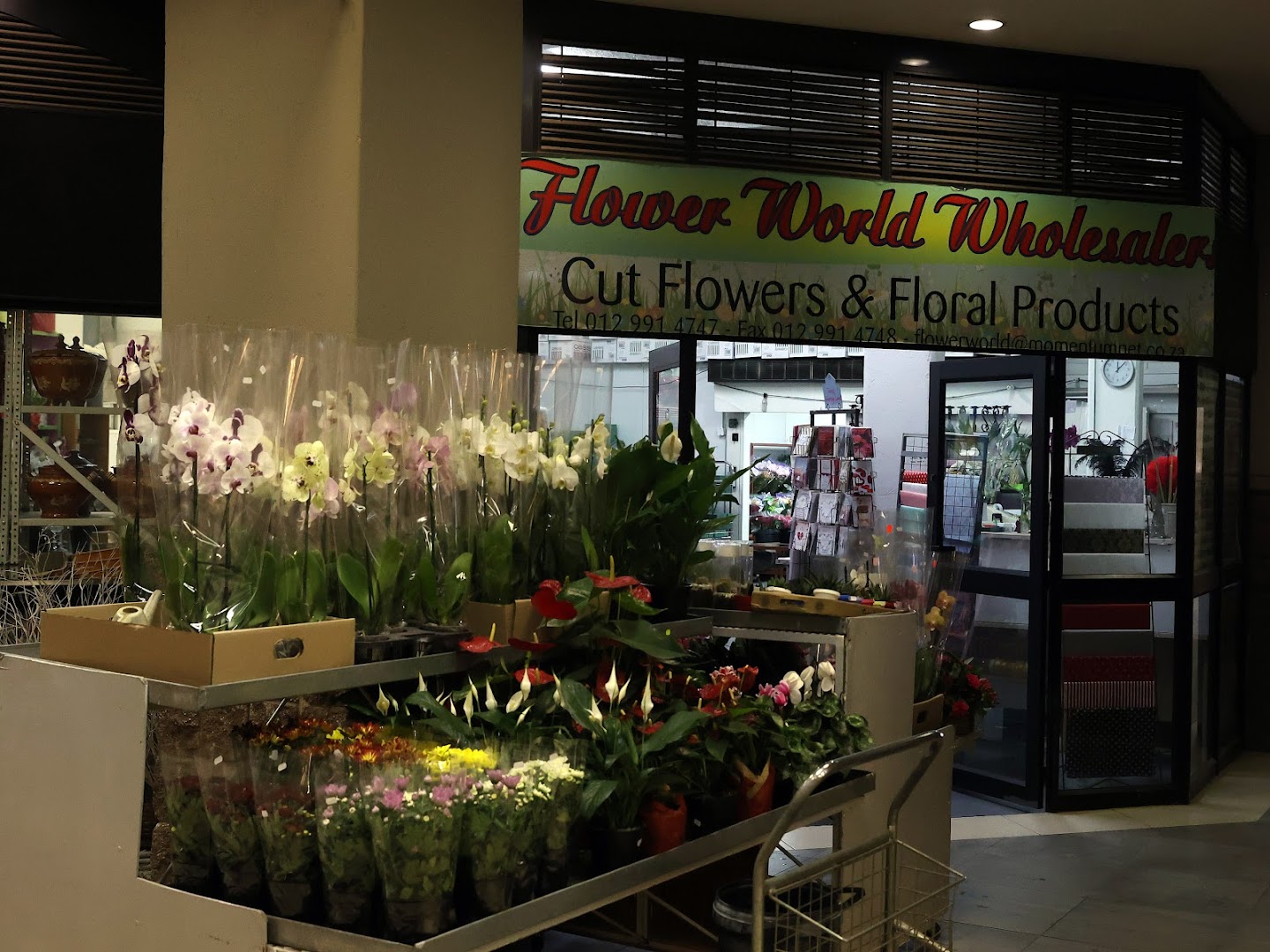 Flower World Wholesalers