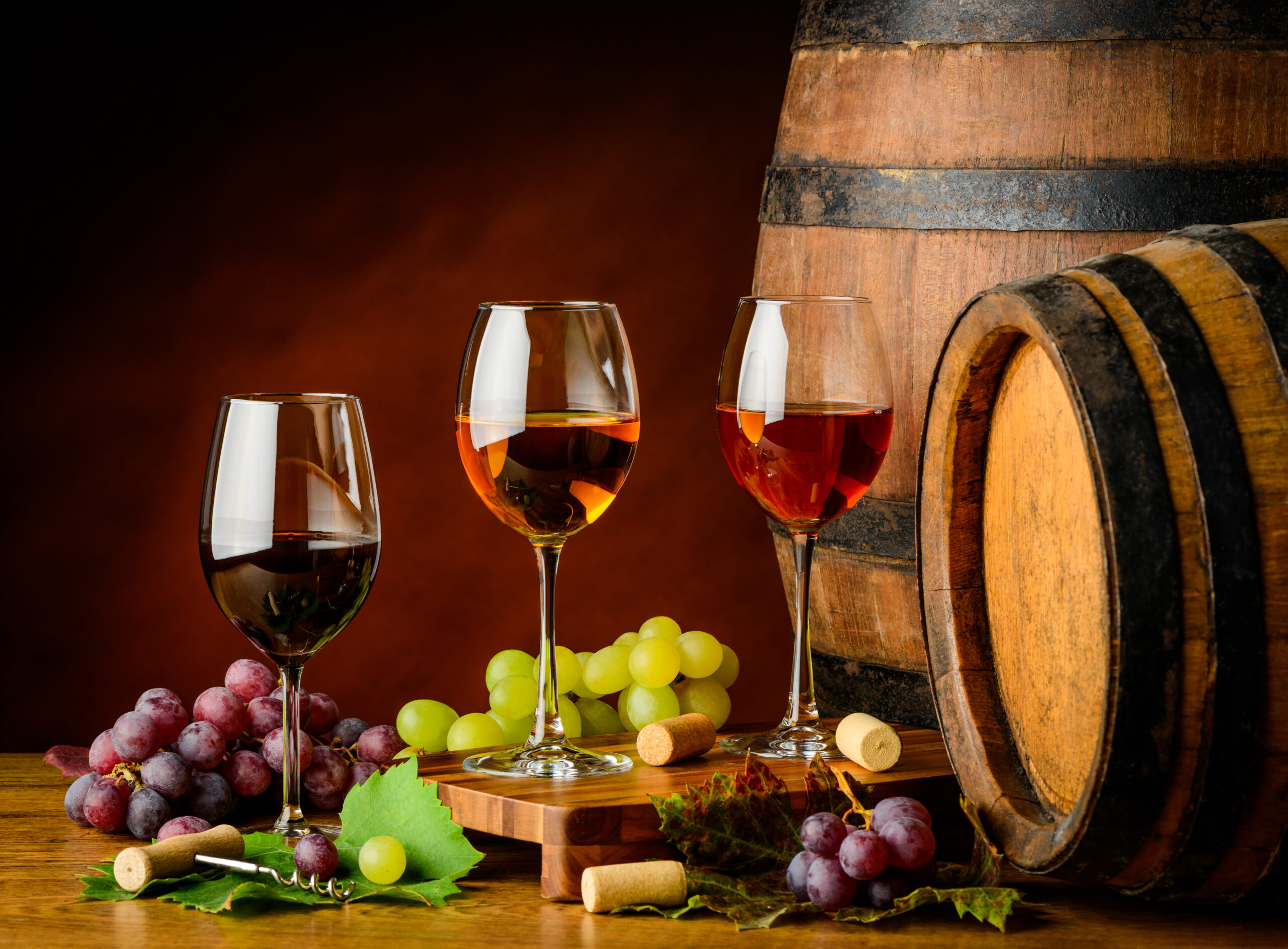 Wine Tasting Destinations Near Pretoria: A Journey Through Flavours